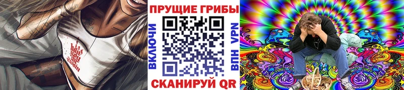 Псилоцибиновые грибы MAGIC MUSHROOMS  где продают   Щёлкино 
